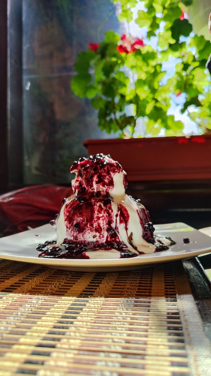 Pensiunea & Restaurant Doi Cocosi-3